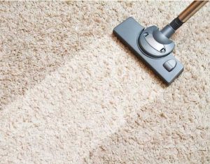 Professional Cleaners For Carpet Cleaning